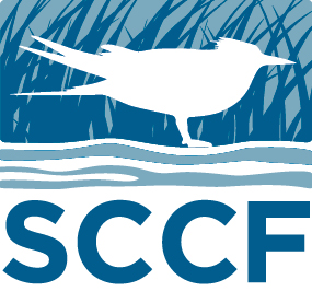 SCCF-Logo-1