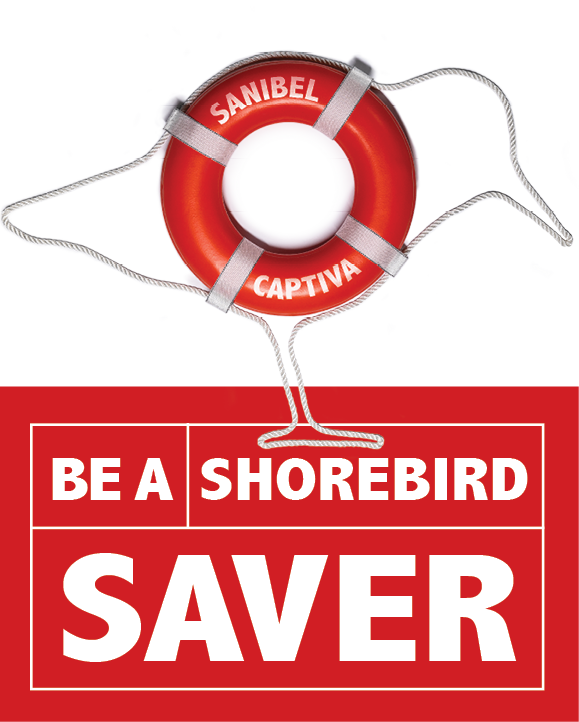 Be a shorbird saver